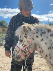 Ranch Siesta Los Rubios Estepona horse riding stables Aprona disabilities group visits