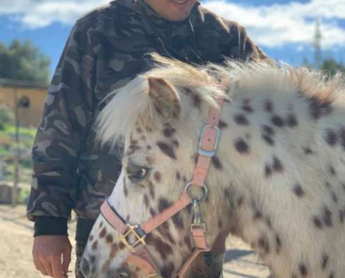 Ranch Siesta Los Rubios Estepona horse riding stables Aprona disabilities group visits