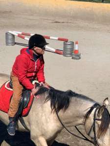 Ranch Siesta Los Rubios Estepona horse riding stables Aprona disabilities group visits