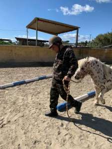 Ranch Siesta Los Rubios Estepona horse riding stables Aprona disabilities group visits