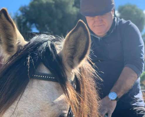 Ranch Siesta Los Rubios Estepona horse riding stables Aprona disabilities group visits