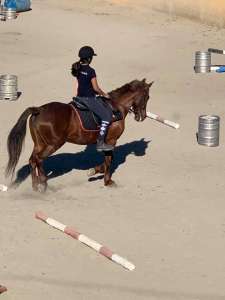 Adult riding classes in Estepona ta Ranch Siesta Los Rubios