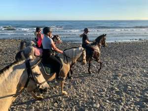 Beach and bar ride with Ranch Siesta Los Rubios horse riding stables in Estepona