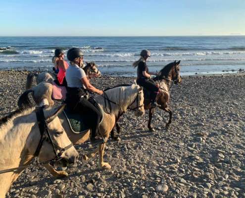 Beach and bar ride with Ranch Siesta Los Rubios horse riding stables in Estepona