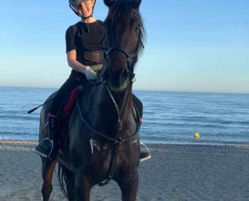 Beach and bar ride with Ranch Siesta Los Rubios horse riding stables in Estepona