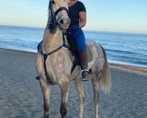 Beach and bar ride with Ranch Siesta Los Rubios horse riding stables in Estepona
