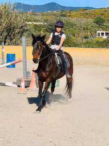 Ranch Siesta Los Rubios riding lessons for children in Estepona