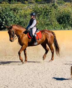 Ranch Siesta Los Rubios riding lessons for children in Estepona