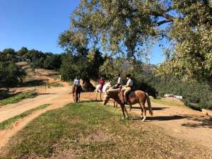 Ranch Siesta Los Rubios estepona ruta de caballos horse riding mountain hack in Estepona into the Sierra Bermeja