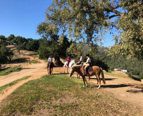 Ranch Siesta Los Rubios estepona ruta de caballos horse riding mountain hack in Estepona into the Sierra Bermeja