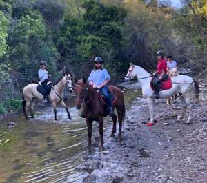 Ranch Siesta Los Rubios estepona ruta de caballos horse riding mountain hack in Estepona into the Sierra Bermeja