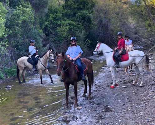 Ranch Siesta Los Rubios estepona ruta de caballos horse riding mountain hack in Estepona into the Sierra Bermeja