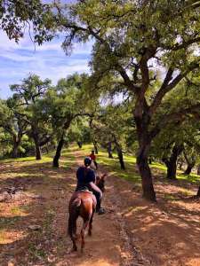 Ranch Siesta Los Rubios estepona ruta de caballos horse riding mountain hack in Estepona into the Sierra Bermeja