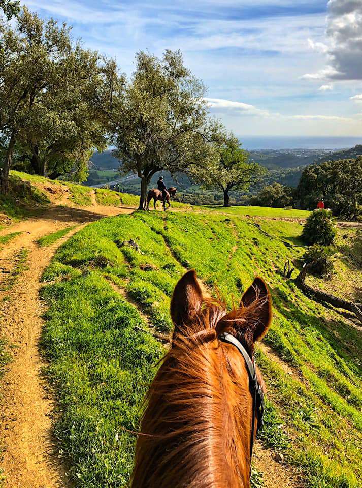 Ranch Siesta Los Rubios estepona ruta de caballos horse riding mountain hack in Estepona into the Sierra Bermeja