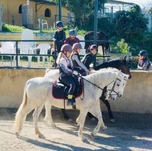 Pairs riding practice dressage at Ranch Siesta Los Rubios in Estepona riding stables