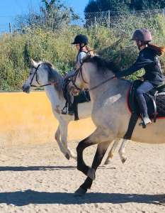 Pairs riding practice dressage at Ranch Siesta Los Rubios in Estepona riding stables