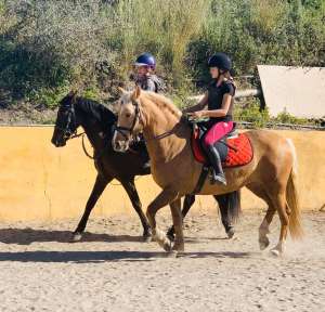 Pairs riding practice dressage at Ranch Siesta Los Rubios in Estepona riding stables