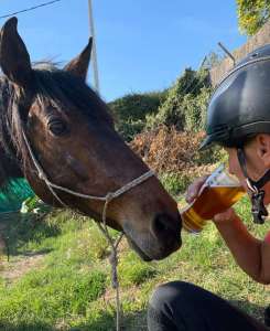 last ride before lockdown along the river to tapas bar in Estepona Ranch Siesta Los Rubios