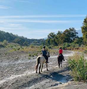 last ride before lockdown along the river to tapas bar in Estepona Ranch Siesta Los Rubios