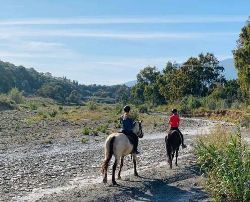 last ride before lockdown along the river to tapas bar in Estepona Ranch Siesta Los Rubios