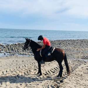 last ride before lockdown along the river to tapas bar in Estepona Ranch Siesta Los Rubios