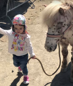 Shetland ponies at Ranch Siesta Los Rubios riding stables in Estepona