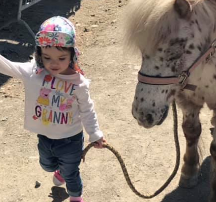Shetland ponies at Ranch Siesta Los Rubios riding stables in Estepona