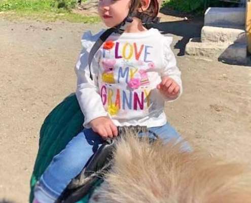 Shetland ponies at Ranch Siesta Los Rubios riding stables in Estepona