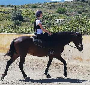 Ranch Siesta Los Rubios horse riding lessons restart after lockdown