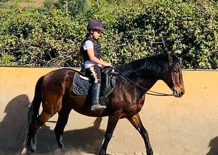 Ranch Siesta Los Rubios riding lessons for children in Estepona