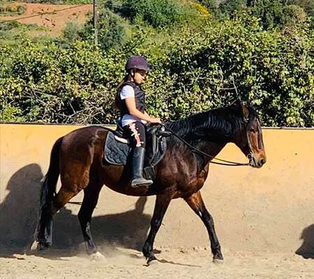 Ranch Siesta Los Rubios riding lessons for children in Estepona