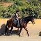 Ranch Siesta Los Rubios riding lessons for children in Estepona