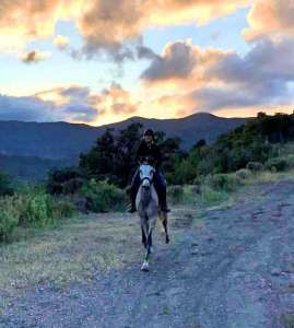 Ranch Siesta los Rubios livery horses estepona