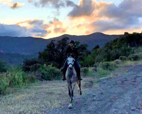 Ranch Siesta los Rubios livery horses estepona