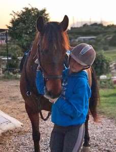 Ranch Siesta los Rubios livery horses estepona