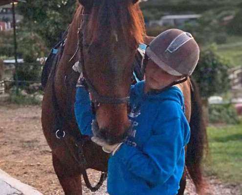 Ranch Siesta los Rubios livery horses estepona