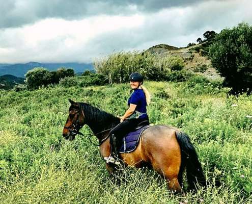 Ranch Siesta los Rubios livery horses estepona