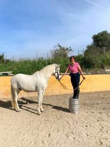 THE BEATLES John, Paul, Ringo & George at Ranch Siesta Los Rubios riding stables Estepona