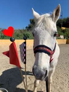 THE BEATLES John, Paul, Ringo & George at Ranch Siesta Los Rubios riding stables Estepona