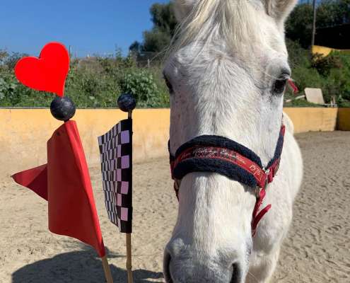 THE BEATLES John, Paul, Ringo & George at Ranch Siesta Los Rubios riding stables Estepona