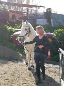 THE BEATLES John, Paul, Ringo & George at Ranch Siesta Los Rubios riding stables Estepona