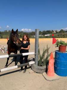 The Beatles bootcamp fabulous four horses at Ranch Siesta Los Rubios John Paul Ringo and George