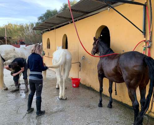 THE BEATLES John, Paul, Ringo & George at Ranch Siesta Los Rubios riding stables Estepona