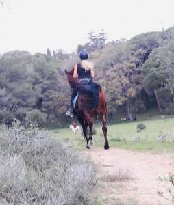 ranch siesta los rubios cross country training