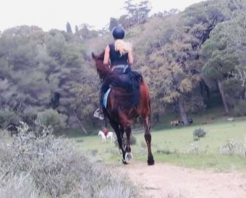 ranch siesta los rubios cross country training