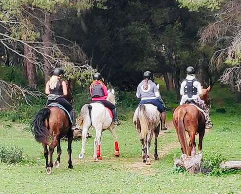 ranch siesta los rubios cross country training