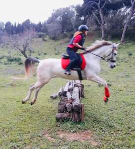 ranch siesta los rubios cross country training