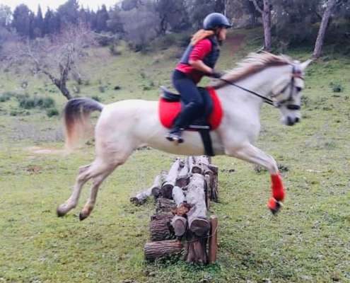 ranch siesta los rubios cross country training
