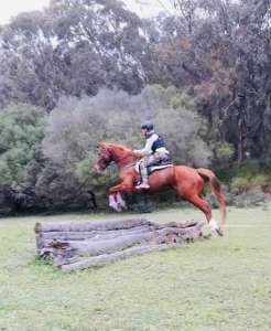 ranch siesta los rubios cross country training