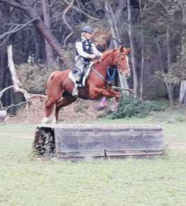 ranch siesta los rubios cross country training